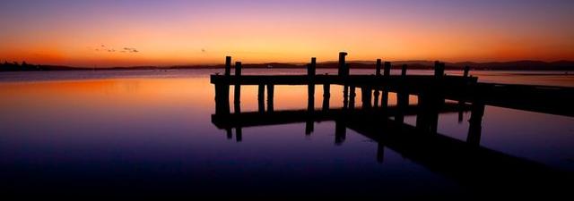 Squids Ink Jetty at Belmont Squids Ink Jetty at Belmont