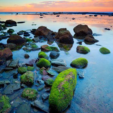 Cowrie Hole Newcastle NSW Australia