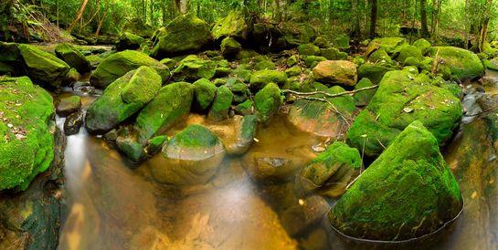 Somersby Falls Central Coast, NSW, Australia