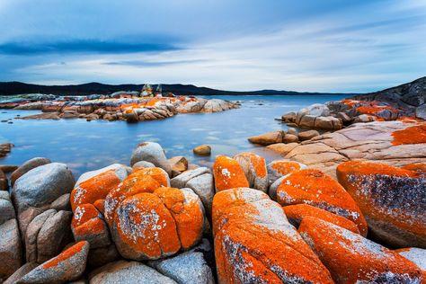 Bay of Fires, Tasmania Binalong Bay, Tasmania, Australia