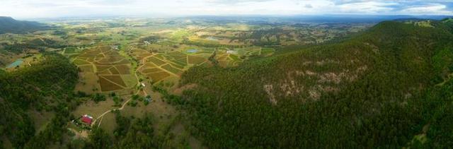 Hunter Valley, NSW Aerial view from Mount View